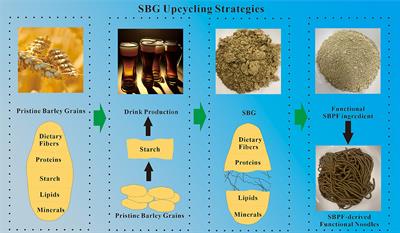 Valorization of spent barley grains: isolation of protein and fibers for starch-free noodles and its effect on glycemic response in healthy individuals